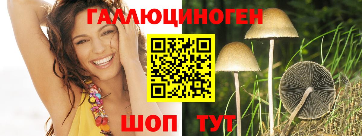 Псилоцибиновые грибы мухоморы Кувандык