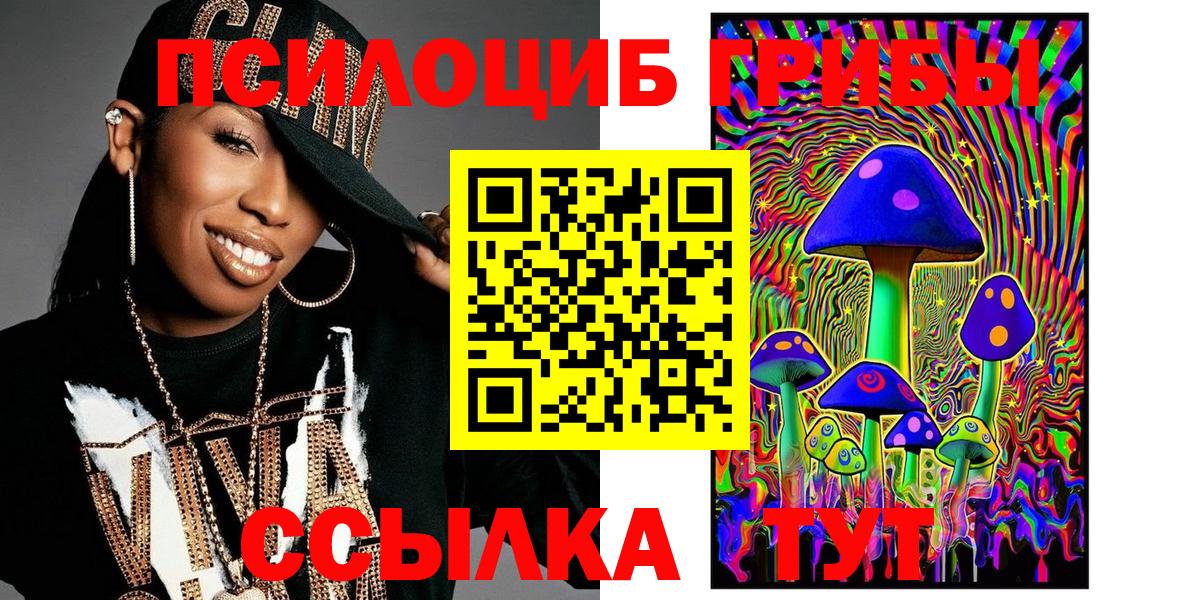 Кувандык  Галлюциногенные грибы Psilocybe  Вход с VPN 